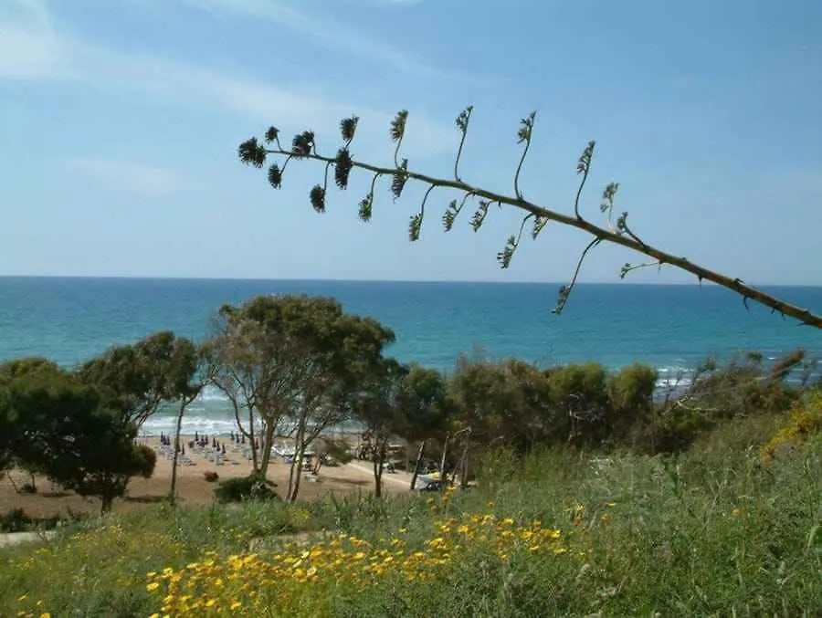 Holiday Home In Castelvetrano 41451 Triscina